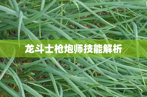 龙斗士枪炮师技能解析