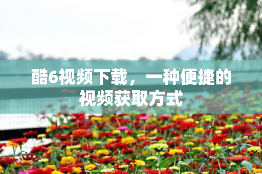 酷6视频下载,一种便捷的视频获取方式 酷6视频下载,一种便捷的视频获取方式