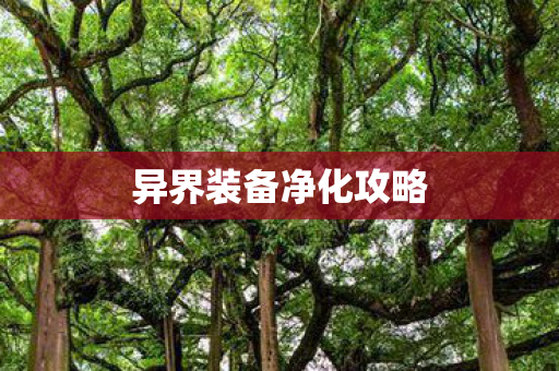 异界装备净化攻略
