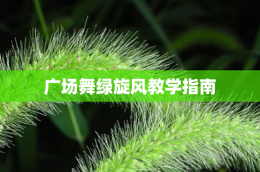 广场舞绿旋风教学指南 广场舞绿旋风教学指南