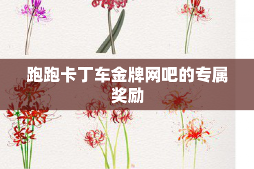 跑跑卡丁车金牌网吧的专属奖励