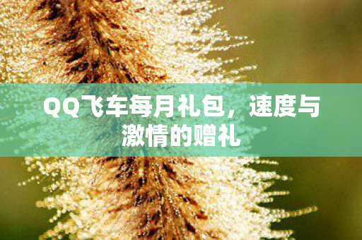 QQ飞车每月礼包,速度与激情的赠礼 QQ飞车每月礼包,速度与激情的赠礼