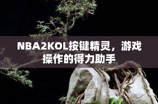 NBA2KOL按键精灵,游戏操作的得力助手 NBA2KOL按键精灵,游戏操作的得力助手