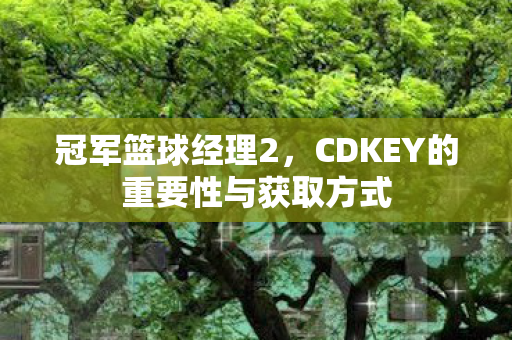 冠军篮球经理2，CDKEY的重要性与获取方式