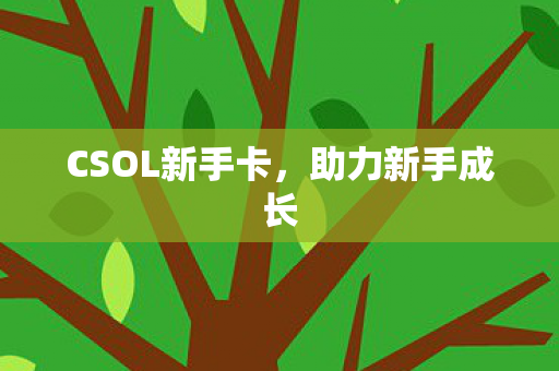 CSOL新手卡,助力新手成长 CSOL新手卡,助力新手成长