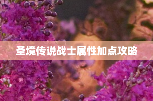 圣境传说战士属性加点攻略 圣境传说战士属性加点攻略