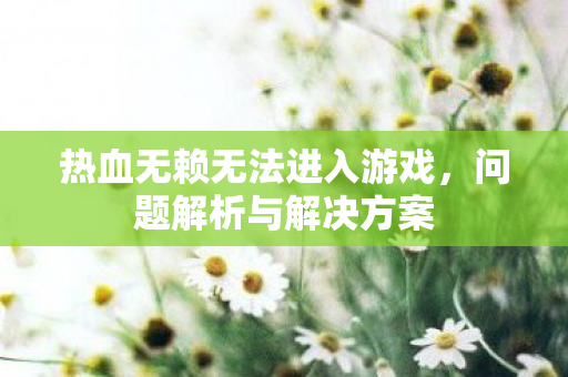 热血无赖无法进入游戏,问题解析与解决方案 热血无赖无法进入游戏,问题解析与解决方案