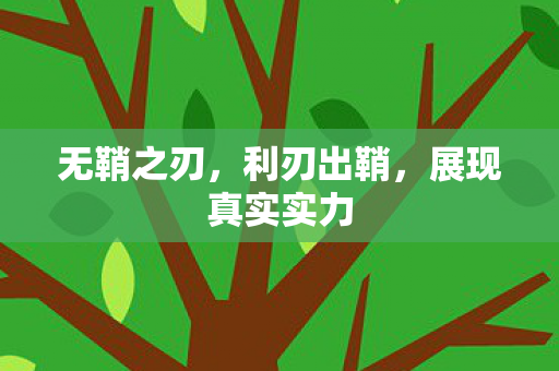 无鞘之刃,利刃出鞘,展现真实实力 无鞘之刃,利刃出鞘,展现真实实力