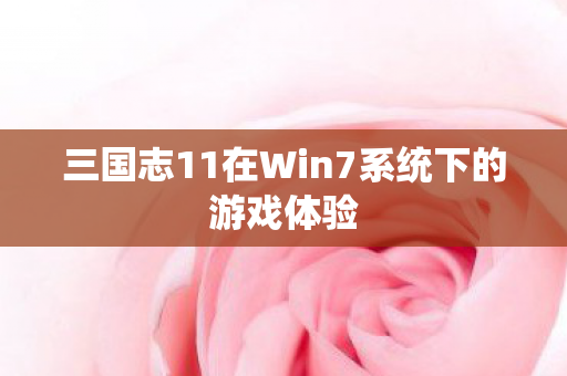 三国志11在Win7系统下的游戏体验
