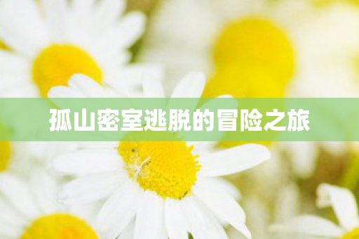 孤山密室逃脱的冒险之旅