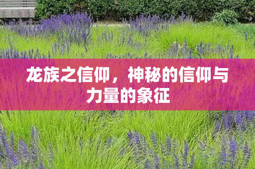 龙族之信仰,神秘的信仰与力量的象征 龙族之信仰,神秘的信仰与力量的象征