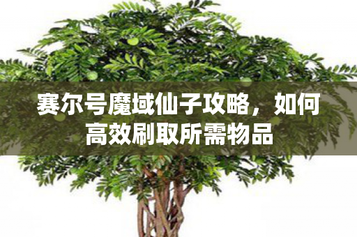 赛尔号魔域仙子攻略,如何高效刷取所需物品 赛尔号魔域仙子攻略,如何高效刷取所需物品