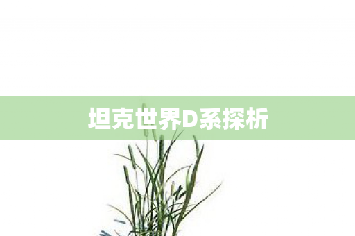 坦克世界D系探析 坦克世界D系探析