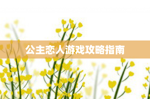 公主恋人游戏攻略指南