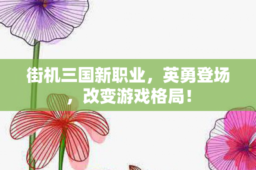 街机三国新职业，英勇登场，改变游戏格局！