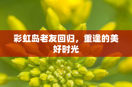 彩虹岛老友回归,重逢的美好时光 彩虹岛老友回归,重逢的美好时光