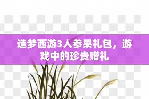 造梦西游3人参果礼包，游戏中的珍贵赠礼