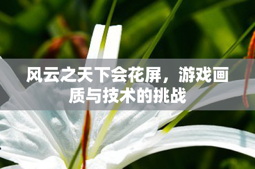 风云之天下会花屏,游戏画质与技术的挑战 风云之天下会花屏,游戏画质与技术的挑战