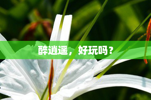 醉逍遥,好玩吗? 醉逍遥,好玩吗?