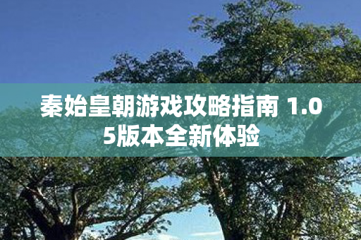 秦始皇朝游戏攻略指南 1.05版本全新体验 秦始皇朝游戏攻略指南 1.05版本全新体验