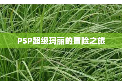 PSP超级玛丽的冒险之旅