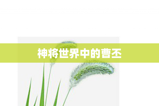 神将世界中的曹丕