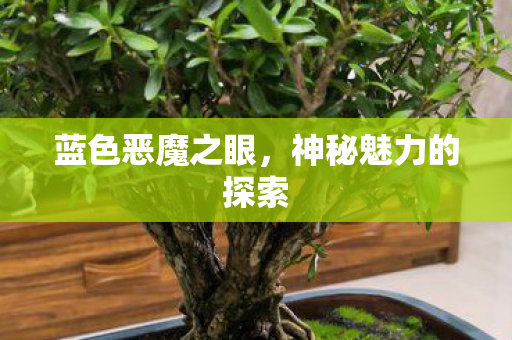 蓝色恶魔之眼,神秘魅力的探索 蓝色恶魔之眼,神秘魅力的探索