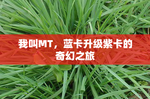 我叫MT,蓝卡升级紫卡的奇幻之旅 我叫MT,蓝卡升级紫卡的奇幻之旅