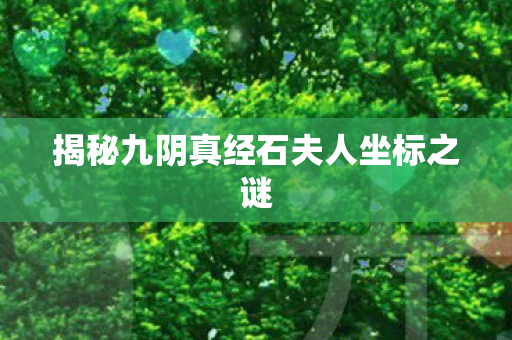 揭秘九阴真经石夫人坐标之谜