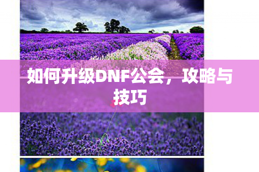 如何升级DNF公会，攻略与技巧