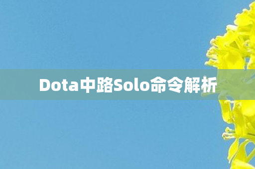 Dota中路Solo命令解析 Dota中路Solo命令解析