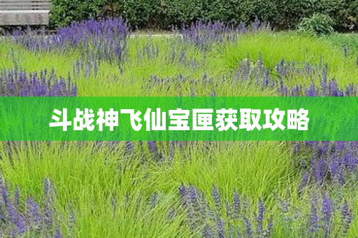 斗战神飞仙宝匣获取攻略 斗战神飞仙宝匣获取攻略