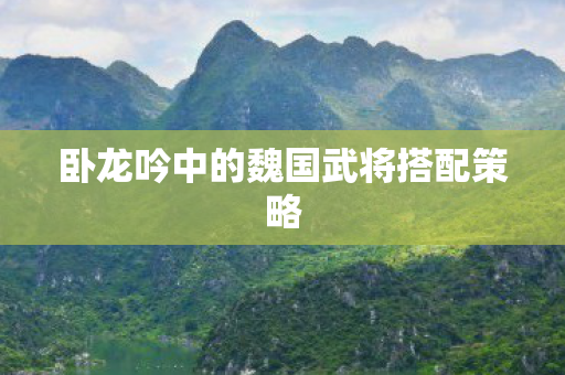 卧龙吟中的魏国武将搭配策略 卧龙吟中的魏国武将搭配策略