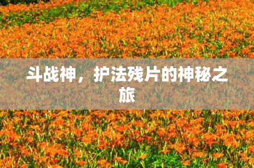 斗战神,护法残片的神秘之旅 斗战神,护法残片的神秘之旅
