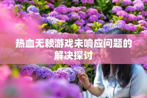 热血无赖游戏未响应问题的解决探讨 热血无赖游戏未响应问题的解决探讨