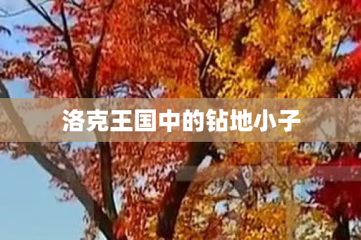 洛克王国中的钻地小子 洛克王国中的钻地小子