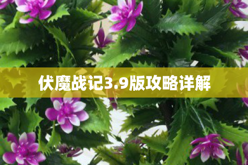 伏魔战记3.9版攻略详解 伏魔战记3.9版攻略详解