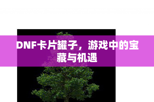 DNF卡片罐子,游戏中的宝藏与机遇 DNF卡片罐子,游戏中的宝藏与机遇