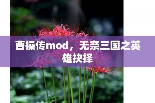 曹操传mod,无奈三国之英雄抉择 曹操传mod,无奈三国之英雄抉择