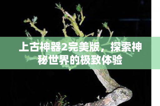 上古神器2完美版，探索神秘世界的极致体验