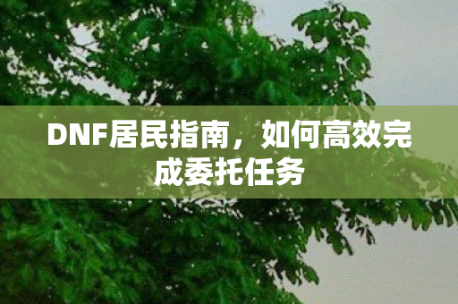 DNF居民指南,如何高效完成委托任务 DNF居民指南,如何高效完成委托任务