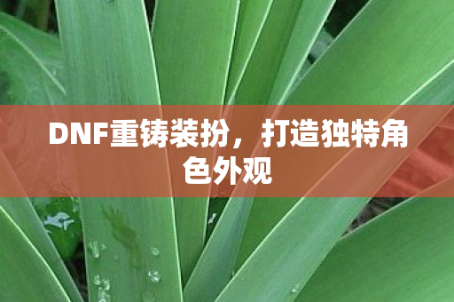 DNF重铸装扮,打造独特角色外观 DNF重铸装扮,打造独特角色外观