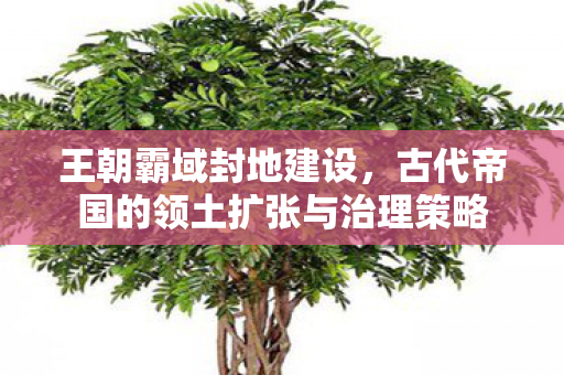 王朝霸域封地建设,古代帝国的领土扩张与治理策略 王朝霸域封地建设,古代帝国的领土扩张与治理策略