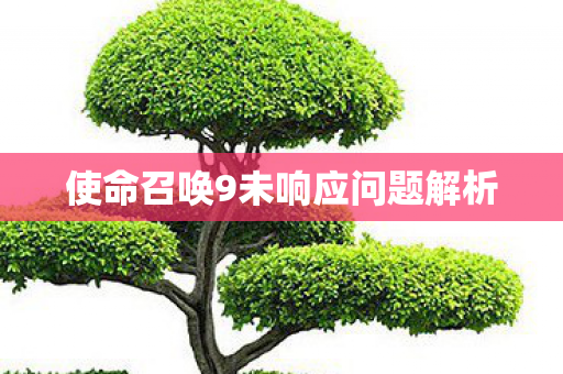 使命召唤9未响应问题解析 使命召唤9未响应问题解析