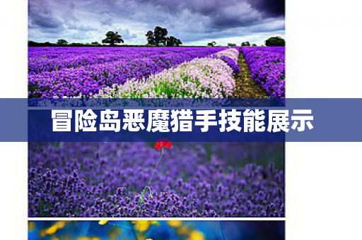 冒险岛恶魔猎手技能展示
