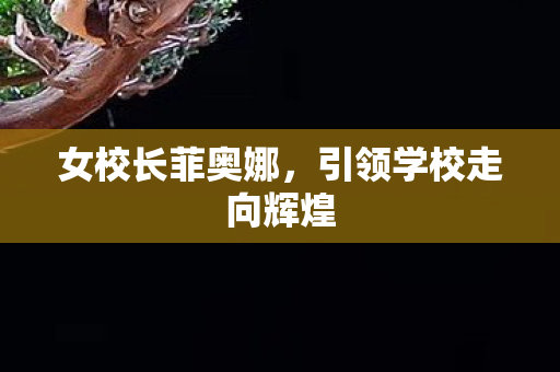 女校长菲奥娜，引领学校走向辉煌
