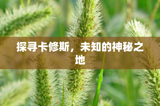 探寻卡修斯,未知的神秘之地 探寻卡修斯,未知的神秘之地