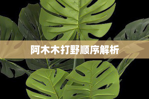 阿木木打野顺序解析