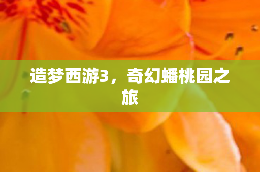 造梦西游3，奇幻蟠桃园之旅