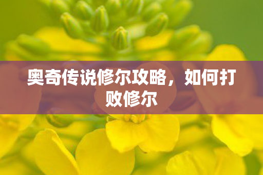 奥奇传说修尔攻略，如何打败修尔